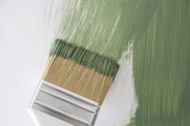Best Water Damage & Mold Remediation  in Albertville, MN