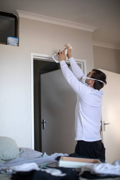 Best Asbestos and Lead Testing During Mold Inspection  in Albertville, MN