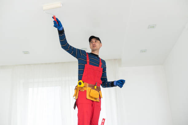 Best Mold Damage Restoration  in Albertville, MN